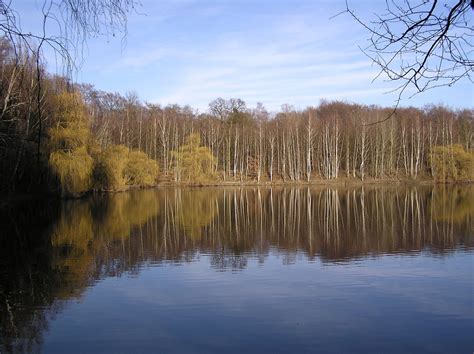 [Bülten #30] COVID-19'a Karşı Tedbirler Hk..