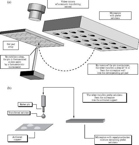 [Biological microchips with hydrogel-immobilized nucleic acids ...