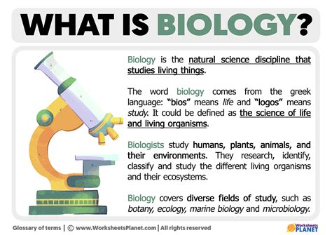 [Biology] What