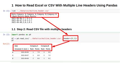 [Code]Pandas read excel sheet with multiple header in row and columns
