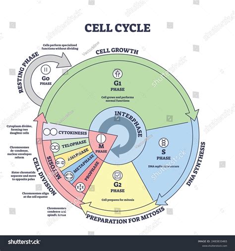 [DIAGRAM] Gm 5 7 Diagram FULL Version HD Quality 7 Diagram VENNDIAGRAMPLOTTER.ARCHIVIOPRIMOLI.IT