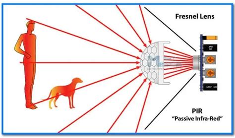 [DIAGRAM] Motion Detector System Diagram