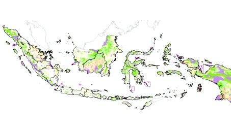 [Download] Batas Fungsi Kawasan Hutan Indonesia - raincitystudios.com