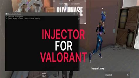 [Discuss] Injectors for Valorant