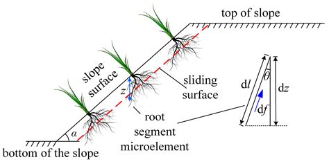 [Effects and mechanisms of plant roots on slope reinforcement and soil ... - raincitystudios.com