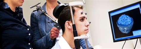 [Expired] Netherlands – PhD in Cognitive Neuroscience at Maastricht ... - muktibox.com