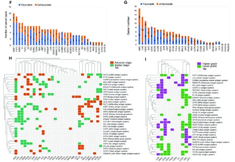 [Expression of blood group antigens in 30 patients with ... - PubMed