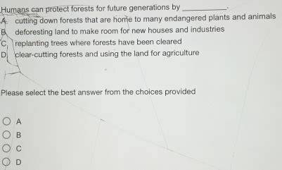 [FREE] Humans can protect forests for future generations by A. cutting ... - raincitystudios.com