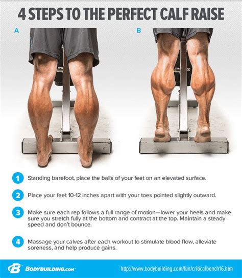 [HELP] (14) How many times should you do calf raises in a week?