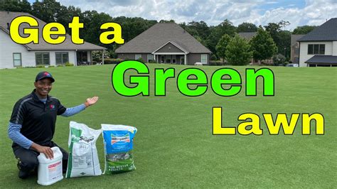 [How to Get a GREEN LAWN FAST] - 3 EASY TIPS for QUICK RESULTS