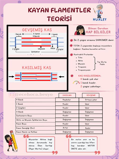 [PDF] 3- Kayan Filament Teorisi Free Download PDF. 
