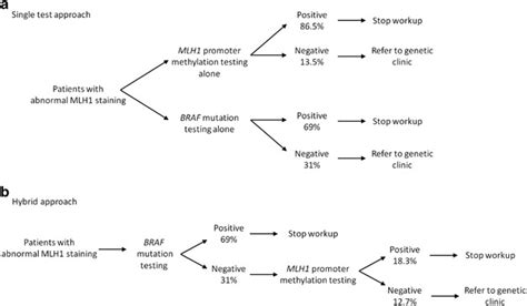 [PDF] A tailored approach to BRAF and MLH1 methylation testing …