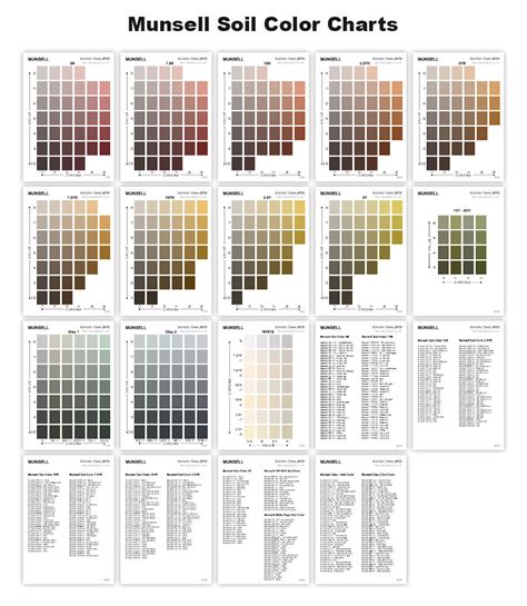 [PDF] Munsell Soil Color Chart Download Pdf