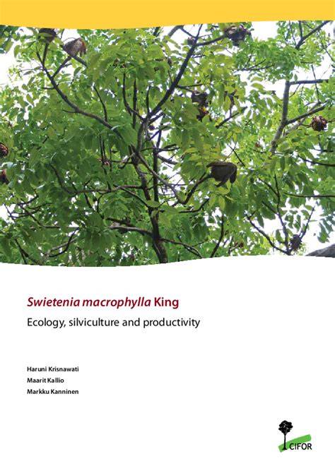 [PDF] Swietenia macrophylla King: Ecology, silviculture and ... - raincitystudios.com