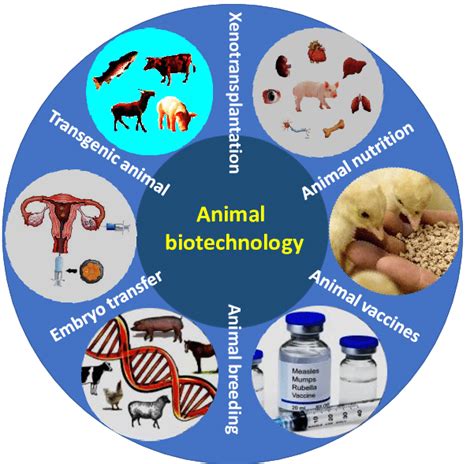 [PDF] Scope of biotechnology in animal nutrition - ResearchGate