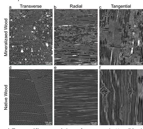 [PDF] Struvite Mineralized Wood as Sustainable Building Material ...