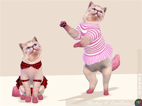 [PETS] cat dress N1