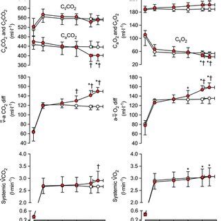 [Pulmonary gas exchange during exercise in healthy subjects]