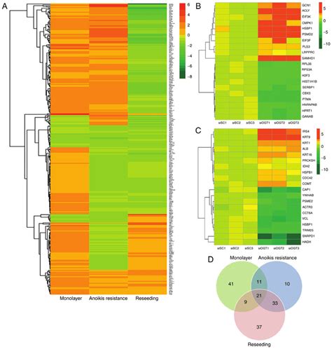 [Quantitative analysis of differential proteins in liver tissues of ...