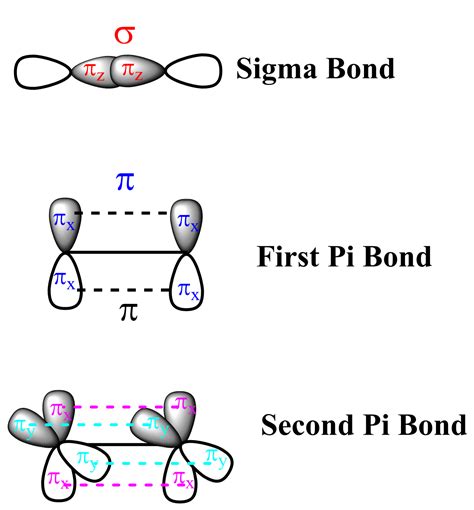 [Solved] sketch sigma and pi bond from p orbital Course Hero