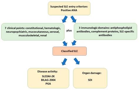 [Systemic lupus erythematosus: from pathophysiology to treatment]