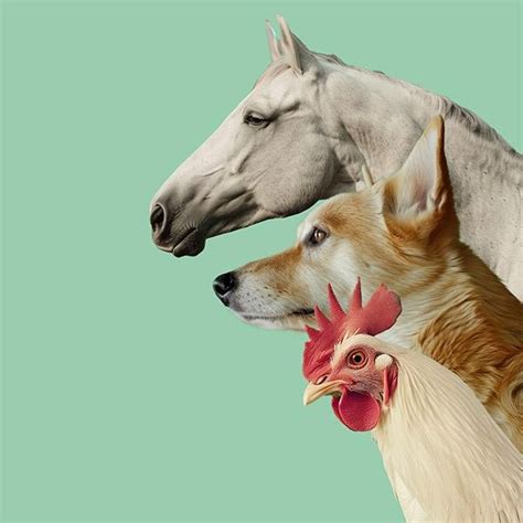 [TOP] Animalesesoundgenerator