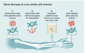 [The importance of genetic counseling at sickle cell anemia]