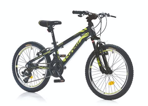 codini.rgarabwor.edu.pl. 