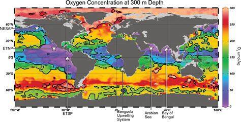 | Global map of oxygen concentrations at 300 m depth - raincitystudios.com