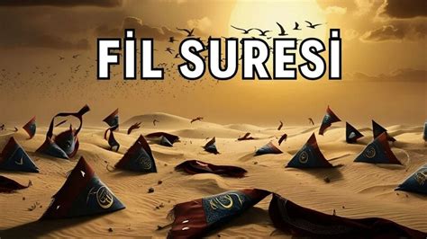 | Hatırla Fil suresini; Sen güçsüz değilsin  Instagram.