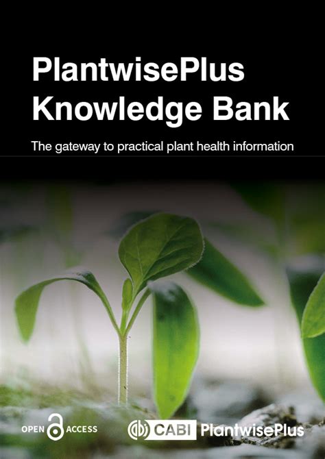 | Plantwise Knowledge Bank - raincitystudios.com