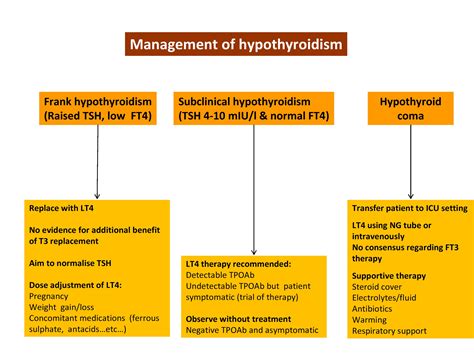 |Hypothyroidism management