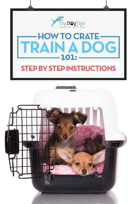 |Instructional materials about crate training and house training