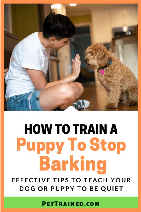 |It may not be a bad idea to train your dog to stop barking early on