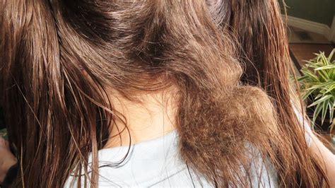 |Matting is a clump of tangled hair that is difficult to comb through