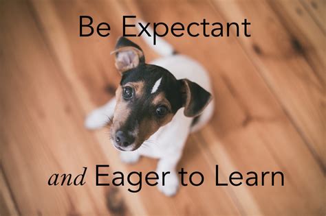 |Puppy will be eager to learn