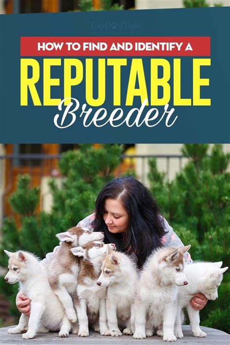 |Reputable breeders will screen their dogs to avoid passing preventable issues to puppies