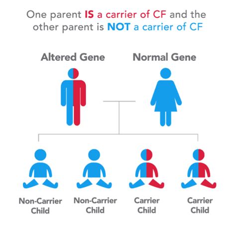 |So, it is even more important that both parent breeds get tested for this problem