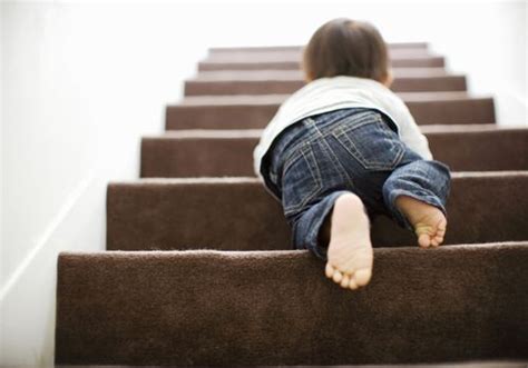 |Start by approaching the stairs and make him sit down at the bottom of the stairs