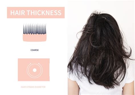 |The hair is often coarse to the touch and provides excellent insulation against the cold