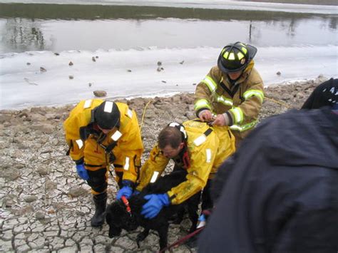 |The rescue occurred Feb
