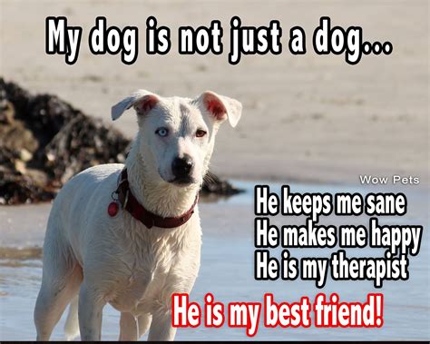 |Then a friend your dog likes