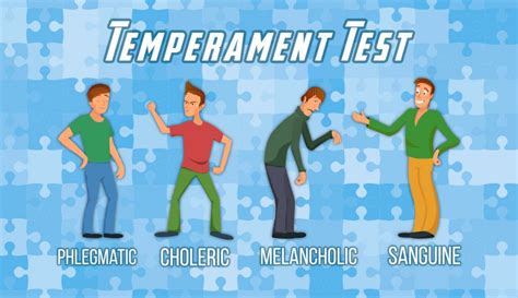 |They will have completed temperament testing and we can match them to your application then they can be reserved at any point throughout their training process