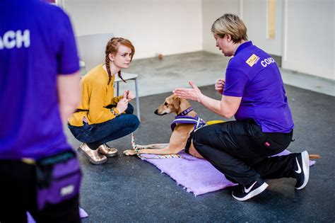|They will learn how to establish social relationships with other dogs