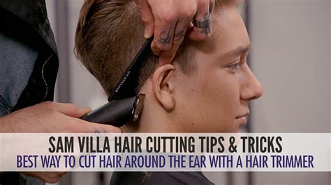 |To trim, pull the hair forward and up and trim to around cm