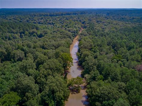 |We have 12 acres along the Enoree River with trails, additional property next to a Greenville state park, and property on Lake Hartwell giving us the opportunity to take the dogs kayaking