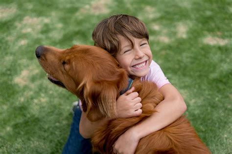 |Your puppy is hugged and loved by grandchildren and selected visitors to begin their socialization