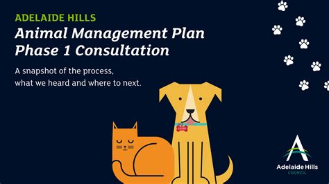 · Web viewDomestic Animal Management Plan. 2024-2024.