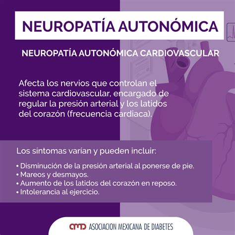 ¿La neuropatía autonómica causa presión arterial baja?