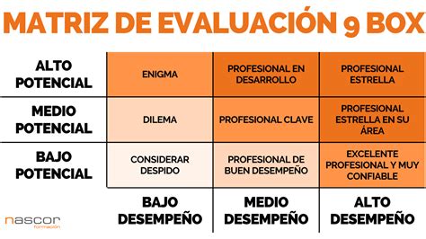 ¿Qué son las evaluaciones 9 Box? - QuestionPro